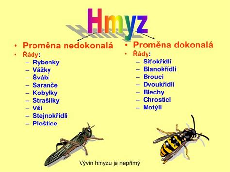 proměna dokonalá a nedokonalá rozdíl|Vážky